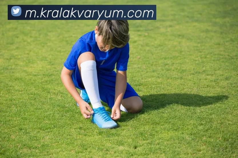 App 展示图